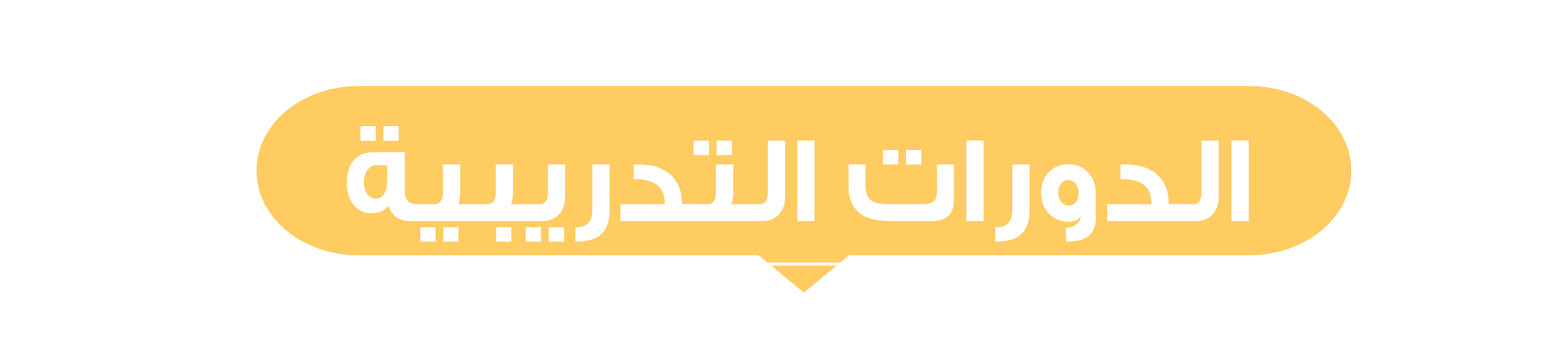 الدورات التدريبية